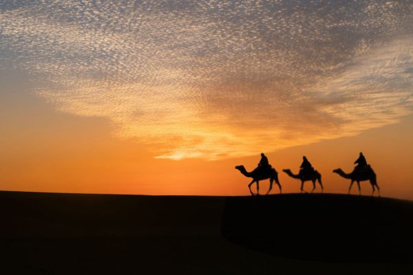 Giro in cammello e osservazione delle stelle nel deserto di Sharm El Sheikh