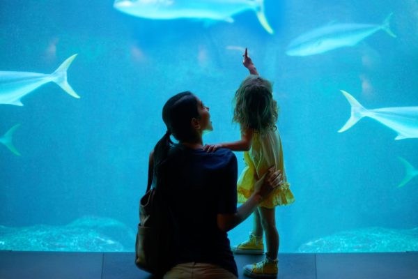 Grand Aquarium di Hurghada