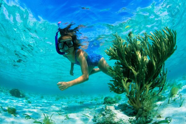 Abu Dabab Snorkeling Tours in Marsa Alam