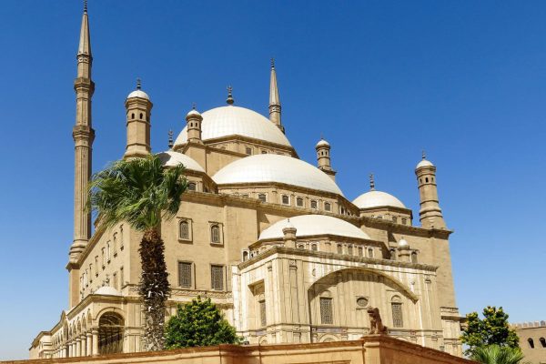 Un’intera giornata di visita alla Cittadella di Saladino ed il Museo delle mummie
