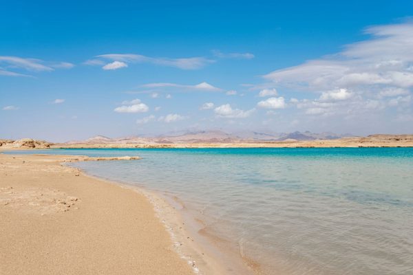 Mezza giornata a Ras Mohamed in bus