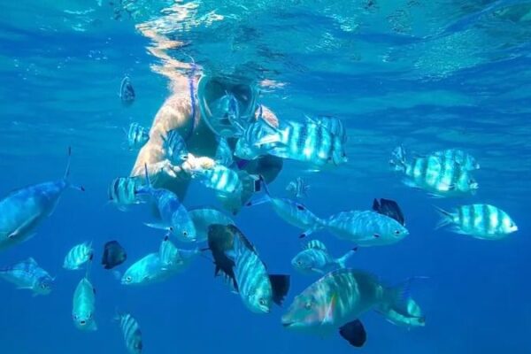 Isola di Tiran – Il paradiso dello snorkeling